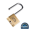 Premium Brass Lion Padlock - 2.5" Long Shackle - LN4/2.5 | 40mm product image