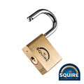 Premium Brass Lion Padlock - LN5 | 50mm product image