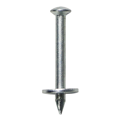 Masonry Nails - Mickey - Zinc | 25 x 2.50 product image