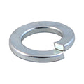Spring Washers - Zinc | M6 | TIMpac product image
